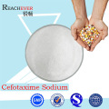 Raw Material Cefotaxime with Best Price